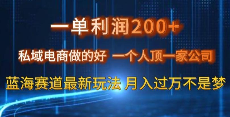 一单利润200私域电商做的好，一个人顶一家公司蓝海赛道最新玩法【揭秘】-秋鱼网创