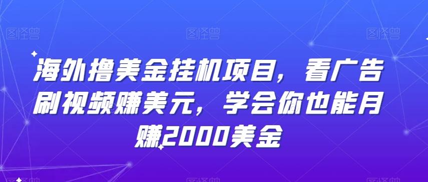 海外撸美金挂机项目，看广告刷视频赚美元，学会你也能月赚2000美金-秋鱼网创