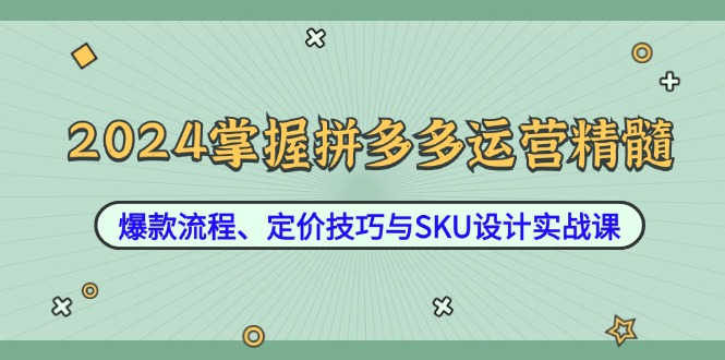 2024掌握拼多多运营精髓：爆款流程、定价技巧与SKU设计实战课-秋鱼网创