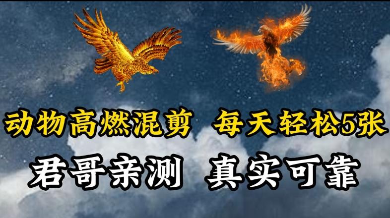 动物超燃混剪，每天轻松5张，剪辑简单大家爱看【揭秘】-秋鱼网创