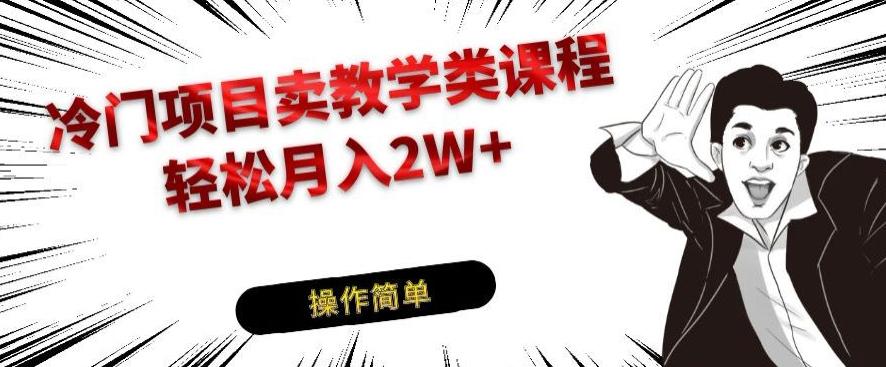 冷门项目卖教学类课程，轻松月入2W+-秋鱼网创
