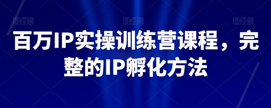百万IP实操训练营课程，完整的IP孵化方法-秋鱼网创