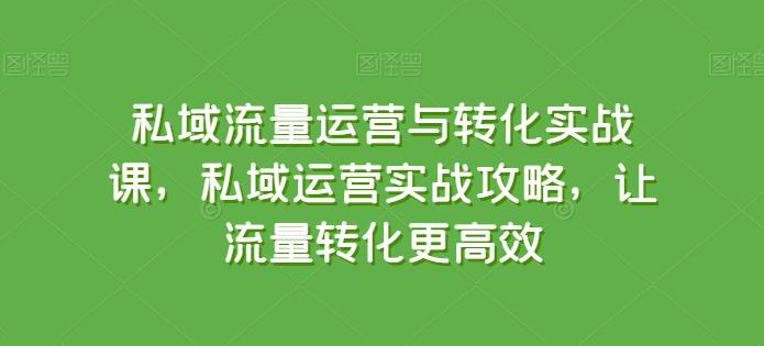 私域流量运营与转化实战课，私域运营实战攻略，让流量转化更高效-秋鱼网创