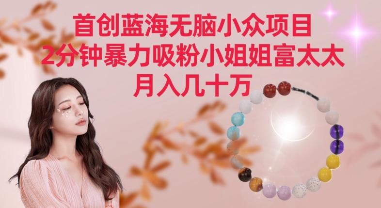 首创蓝海无脑小众项目，2分钟暴力吸粉小姐姐富太太，月入几十万【揭秘】-秋鱼网创