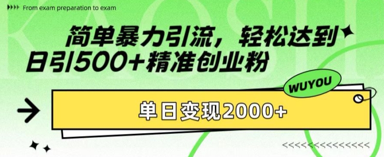 简单暴力引流，轻松达到日引500+精准创业粉，单日变现2k【揭秘】-秋鱼网创